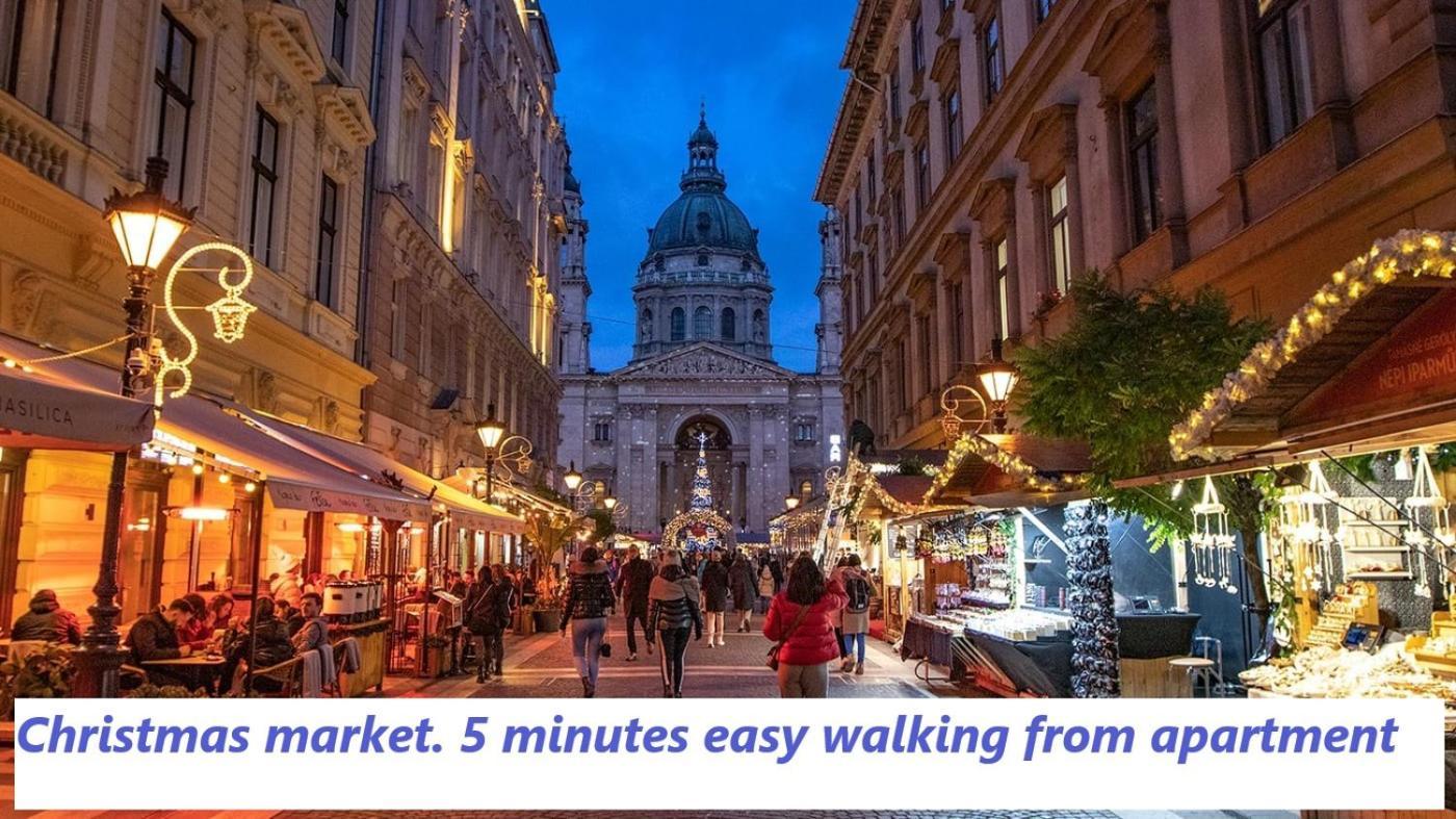 Apartment 2 Rooms Between Of Chain Bridge, Cathedral, Parlament,Castle Area Budapest